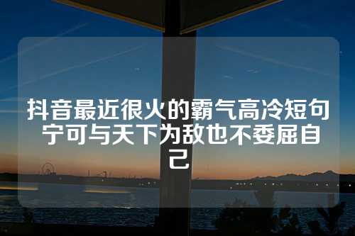 抖音最近很火的霸气高冷短句 宁可与天下为敌也不委屈自己-第1张图片-温柔治愈励志文案网