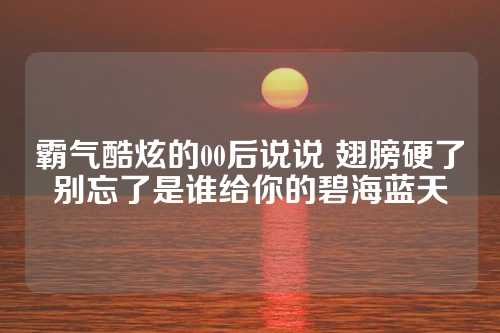 霸气酷炫的00后说说 翅膀硬了别忘了是谁给你的碧海蓝天-第1张图片-温柔治愈励志文案网