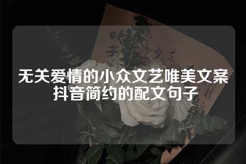 无关爱情的小众文艺唯美文案 抖音简约的配文句子