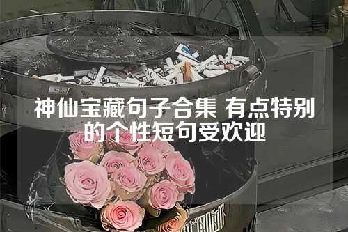 神仙宝藏句子合集 有点特别的个性短句受欢迎