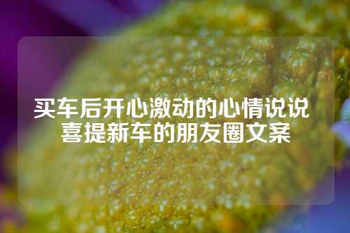 买车后开心激动的心情说说 喜提新车的朋友圈文案