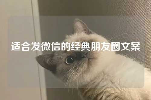 适合发微信的经典朋友圈文案