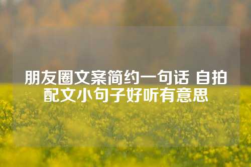 朋友圈文案简约一句话 自拍配文小句子好听有意思-第1张图片-温柔治愈励志文案网