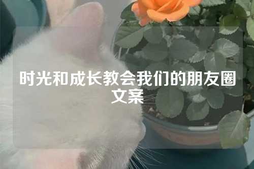 时光和成长教会我们的朋友圈文案