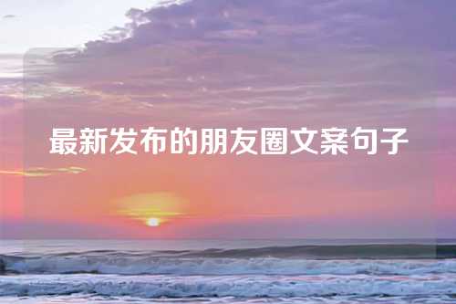 最新发布的朋友圈文案句子