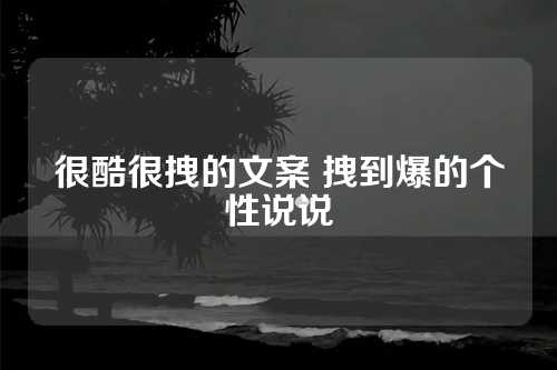 很酷很拽的文案 拽到爆的个性说说