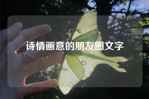 诗情画意的朋友圈文字-第1张图片-温柔治愈励志文案网