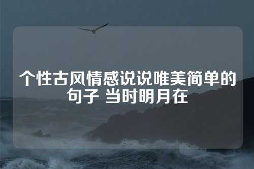 个性古风情感说说唯美简单的句子 当时明月在