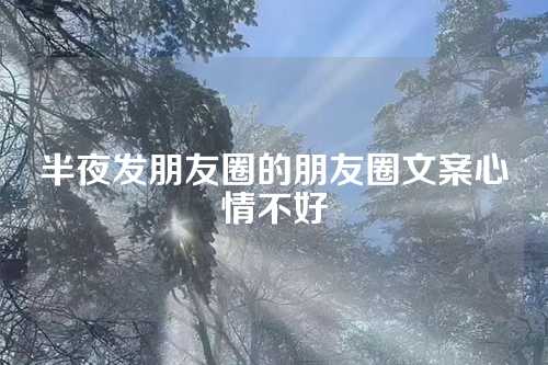 半夜发朋友圈的朋友圈文案心情不好-第1张图片-温柔治愈励志文案网