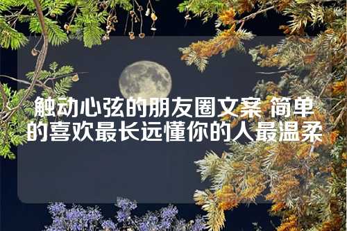 触动心弦的朋友圈文案 简单的喜欢最长远懂你的人最温柔-第1张图片-温柔治愈励志文案网