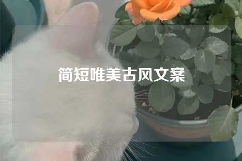 简短唯美古风文案