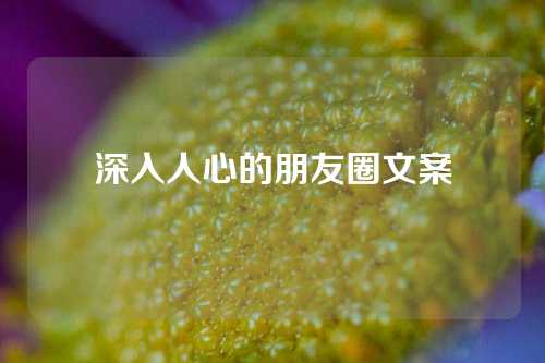 深入人心的朋友圈文案-第1张图片-温柔治愈励志文案网