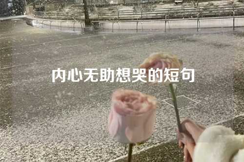 内心无助想哭的短句