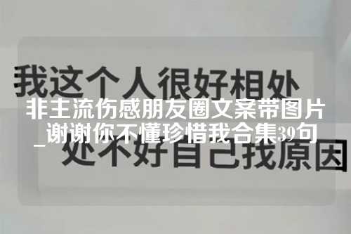 非主流伤感朋友圈文案带图片_谢谢你不懂珍惜我合集39句-第1张图片-温柔治愈励志文案网