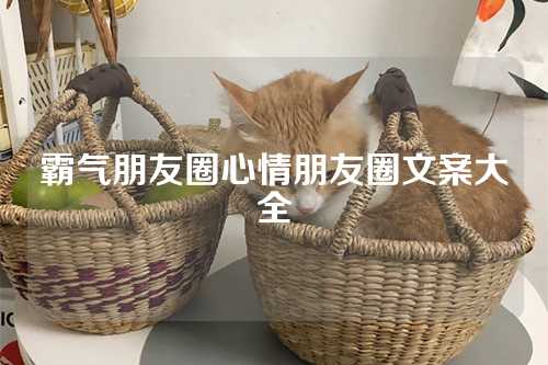 霸气朋友圈心情朋友圈文案大全