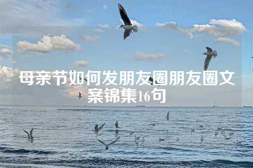 母亲节如何发朋友圈朋友圈文案锦集16句