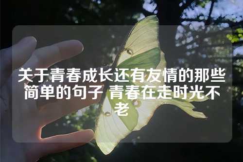 关于青春成长还有友情的那些简单的句子 青春在走时光不老-第1张图片-温柔治愈励志文案网