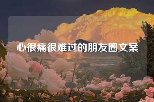 心很痛很难过的朋友圈文案-第1张图片-温柔治愈励志文案网