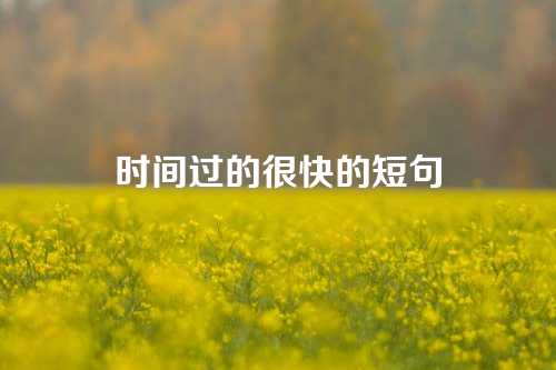 时间过的很快的短句-第1张图片-温柔治愈励志文案网