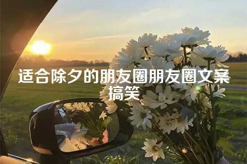 适合除夕的朋友圈朋友圈文案搞笑-第1张图片-温柔治愈励志文案网