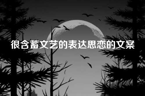 很含蓄文艺的表达思恋的文案-第1张图片-温柔治愈励志文案网