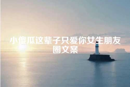 小傻瓜这辈子只爱你女生朋友圈文案-第1张图片-温柔治愈励志文案网