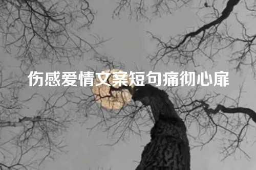 伤感爱情文案短句痛彻心扉