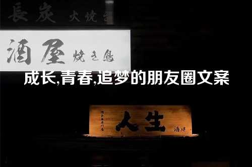 成长,青春,追梦的朋友圈文案