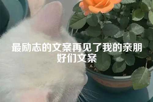 最励志的文案再见了我的亲朋好们文案