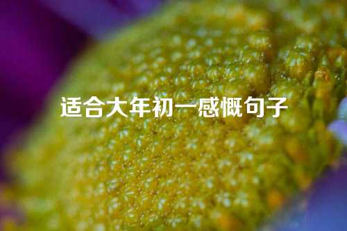 适合大年初一感慨句子-第1张图片-温柔治愈励志文案网