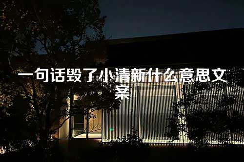 一句话毁了小清新什么意思文案