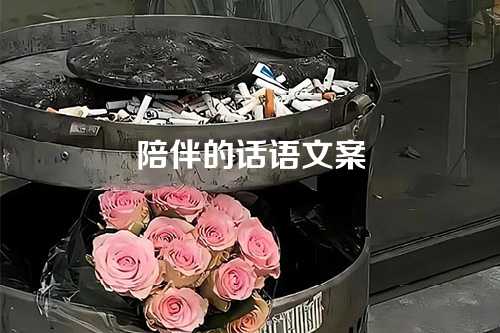 陪伴的话语文案