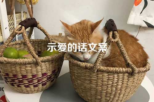 示爱的话文案