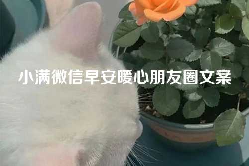 小满微信早安暖心朋友圈文案