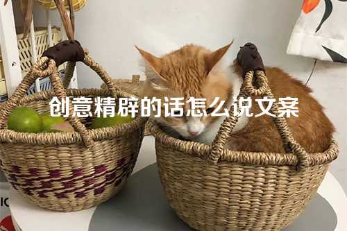 创意精辟的话怎么说文案