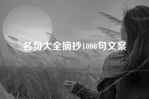 名句大全摘抄1000句文案