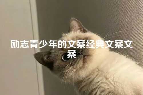 励志青少年的文案经典文案文案