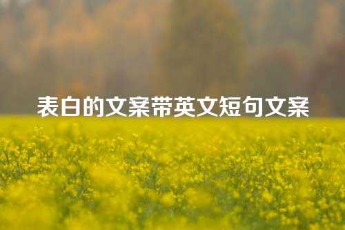 表白的文案带英文短句文案