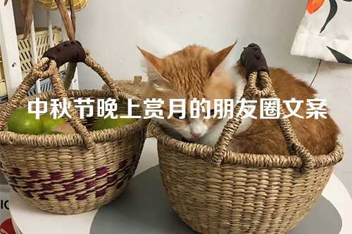 中秋节晚上赏月的朋友圈文案