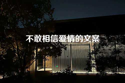 不敢相信爱情的文案