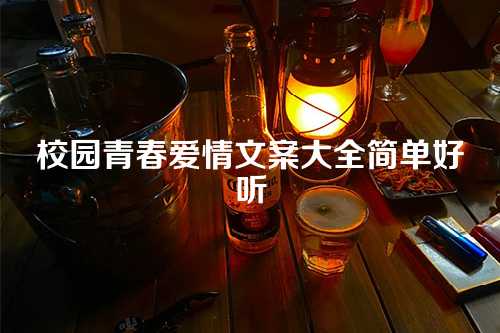 校园青春爱情文案大全简单好听