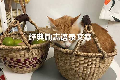 经典励志语录文案