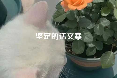 坚定的话文案