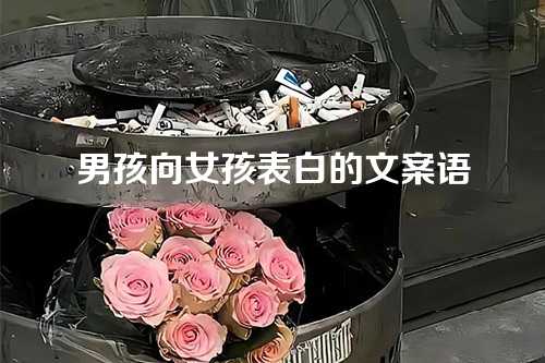 男孩向女孩表白的文案语