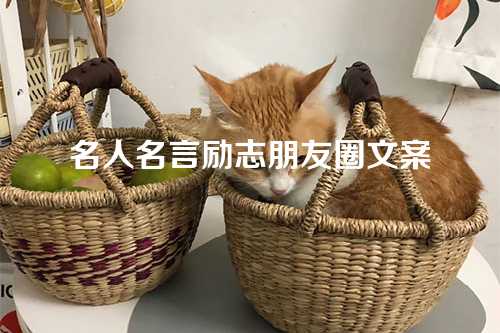 名人名言励志朋友圈文案