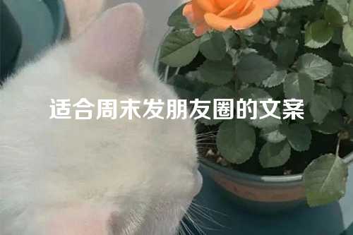 适合周末发朋友圈的文案