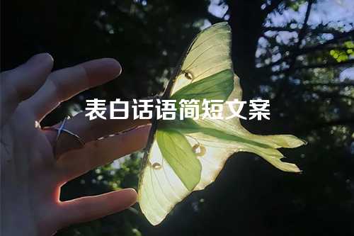 表白话语简短文案