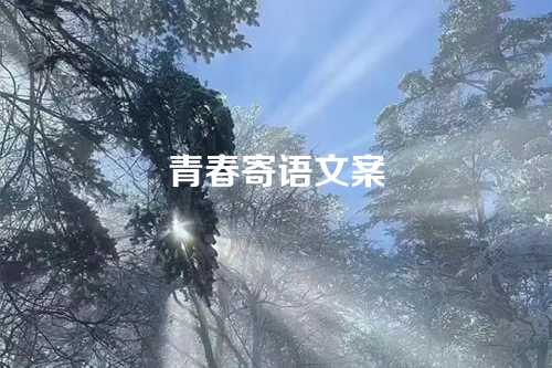 青春寄语文案-第1张图片-温柔治愈励志文案网