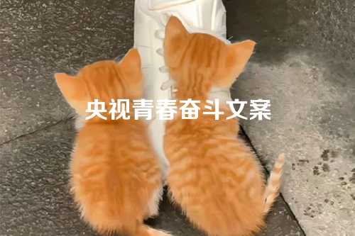 央视青春奋斗文案