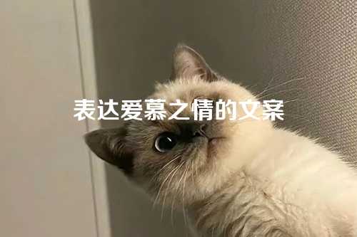 表达爱慕之情的文案